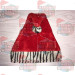Zebra Red Santa Hat